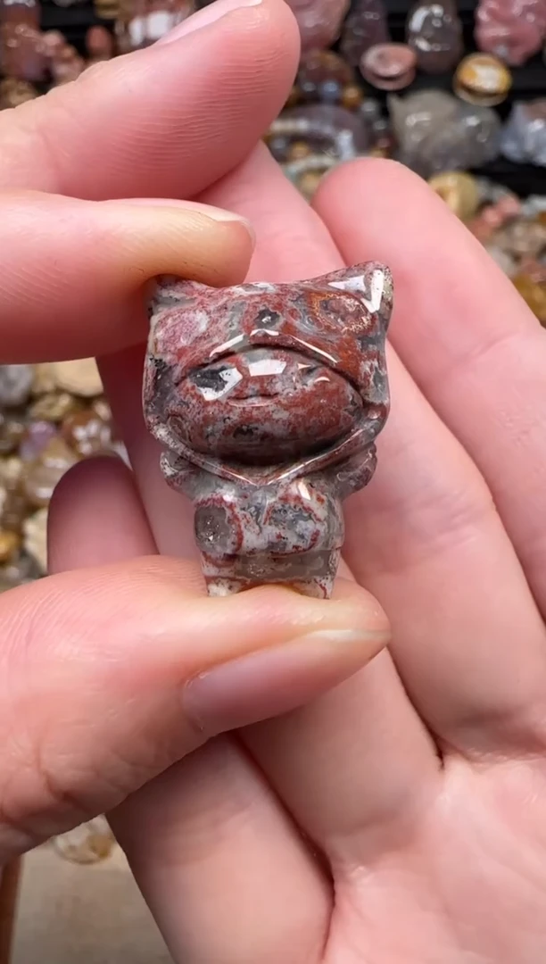 颈饰未镶嵌硅化珊瑚（珊瑚玉）141