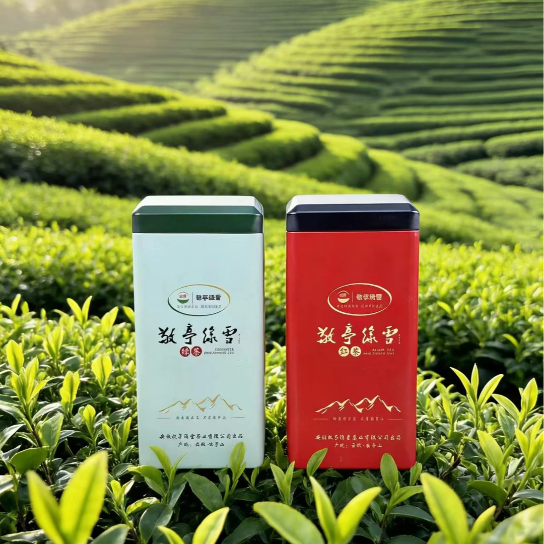 敬亭绿雪绿茶50g+红茶50g罐装2025年新茶宣城敬亭山原产地听装