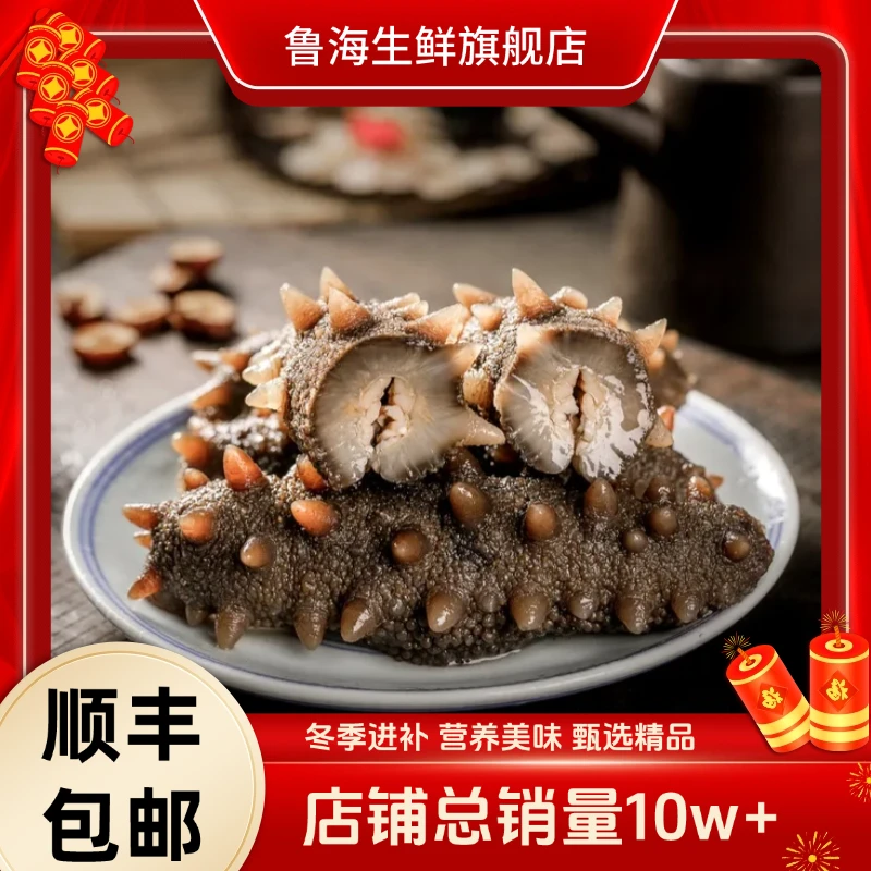 【中号】鲁海大连 鲜食海参 精选辽参 开春滋补（8-10头/500g）