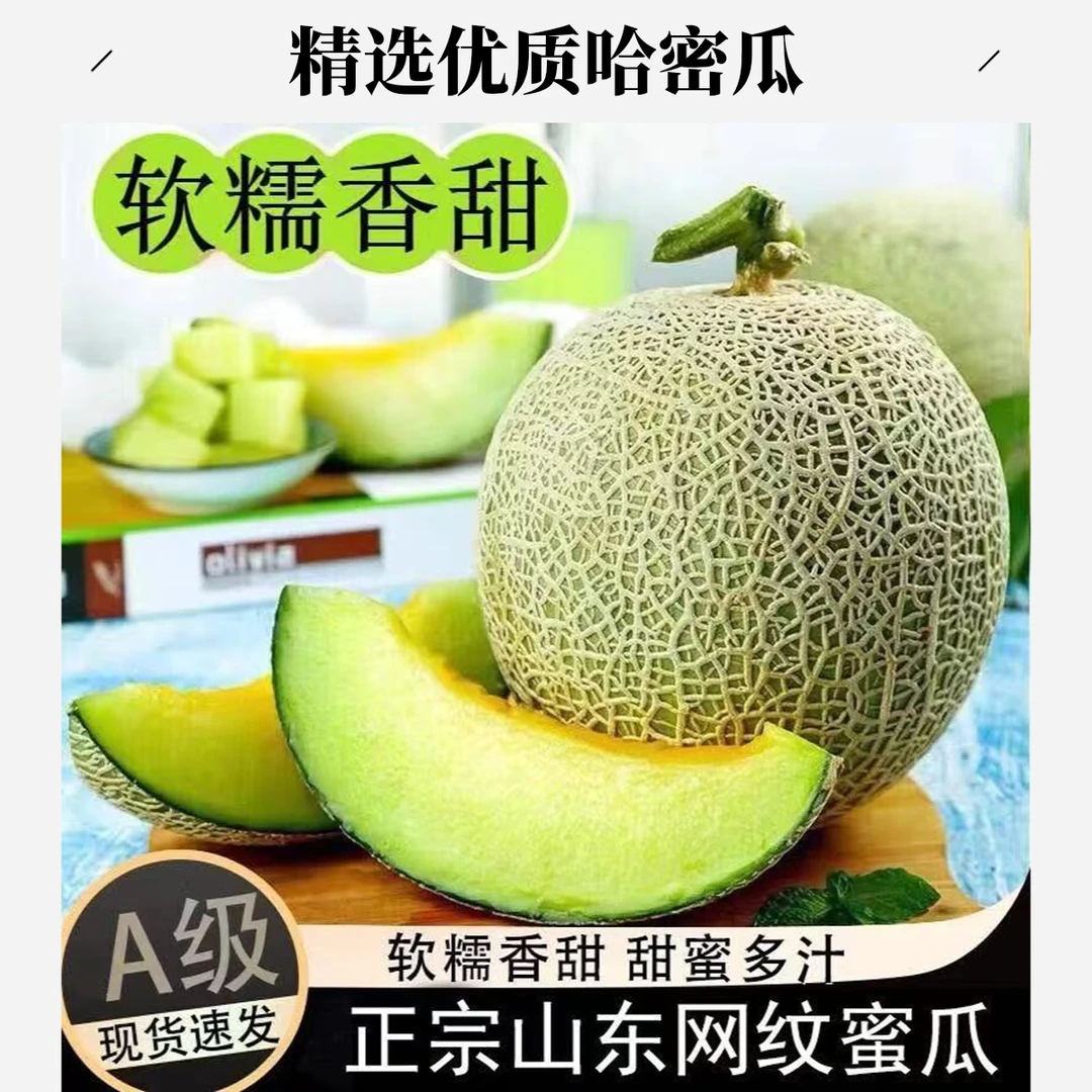山东正宗网纹甜瓜新鲜现摘现发香甜可口当季水果