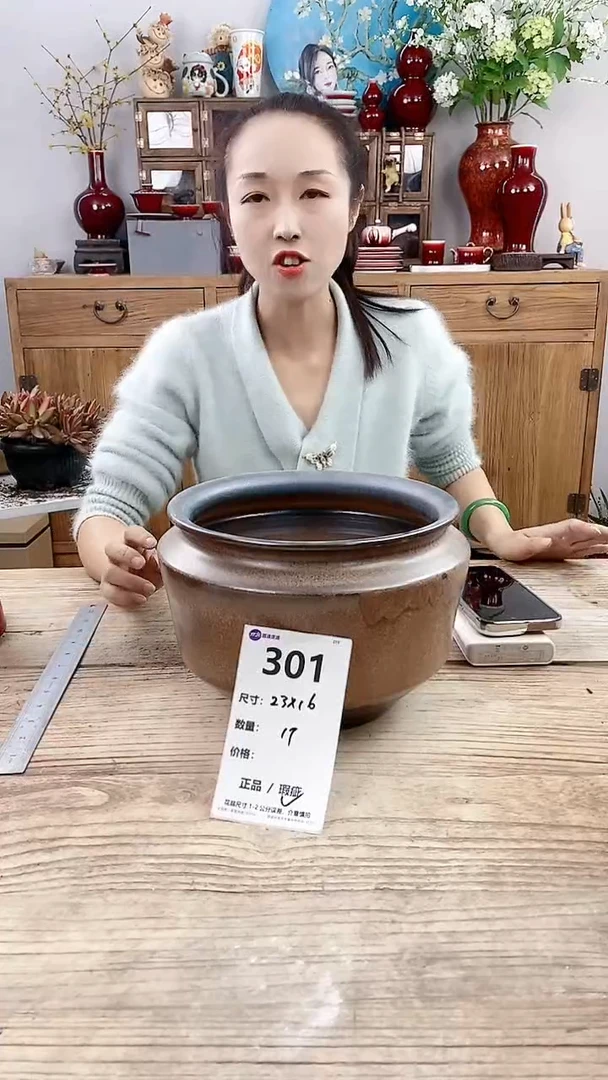 【闪购商品】红陶301