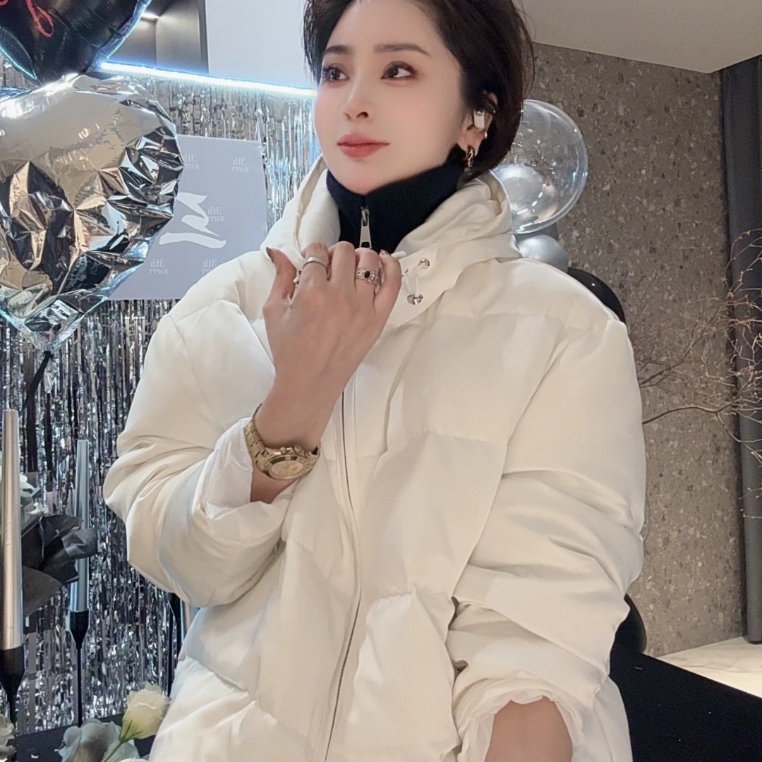 FANYE 冬季连帽加厚纯色鹅绒服2024001