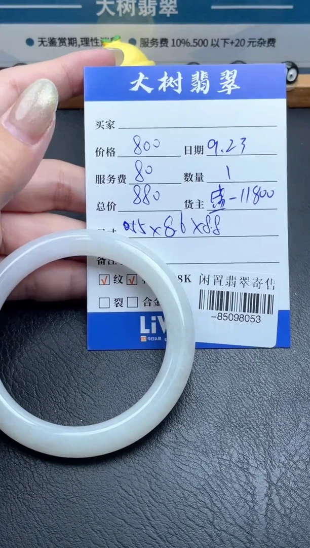 未镶嵌手镯翡翠多人-85098053