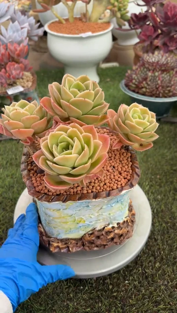 【闪购商品】13685