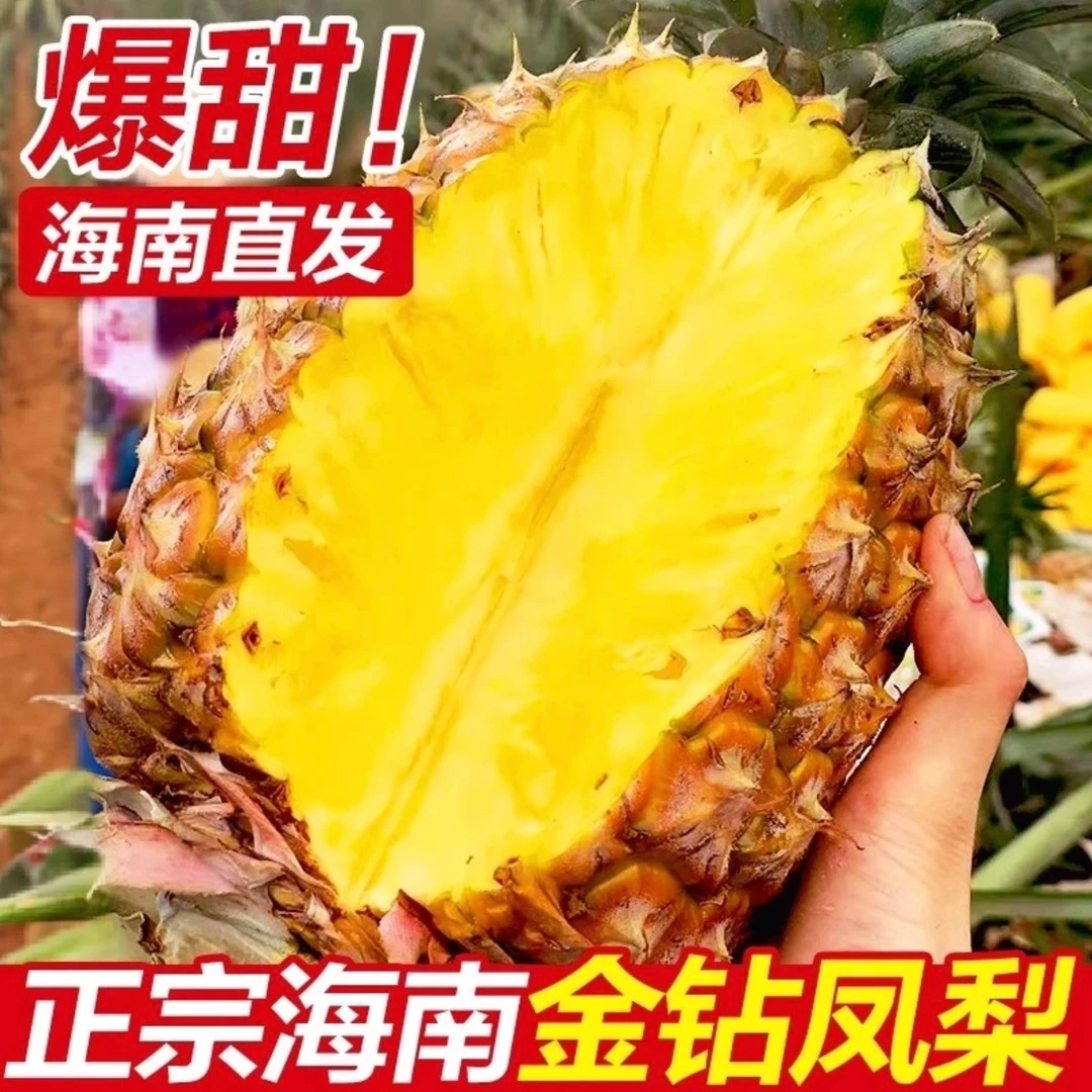 【正宗海南凤梨】金钻凤梨17号产地直发现采现摘
