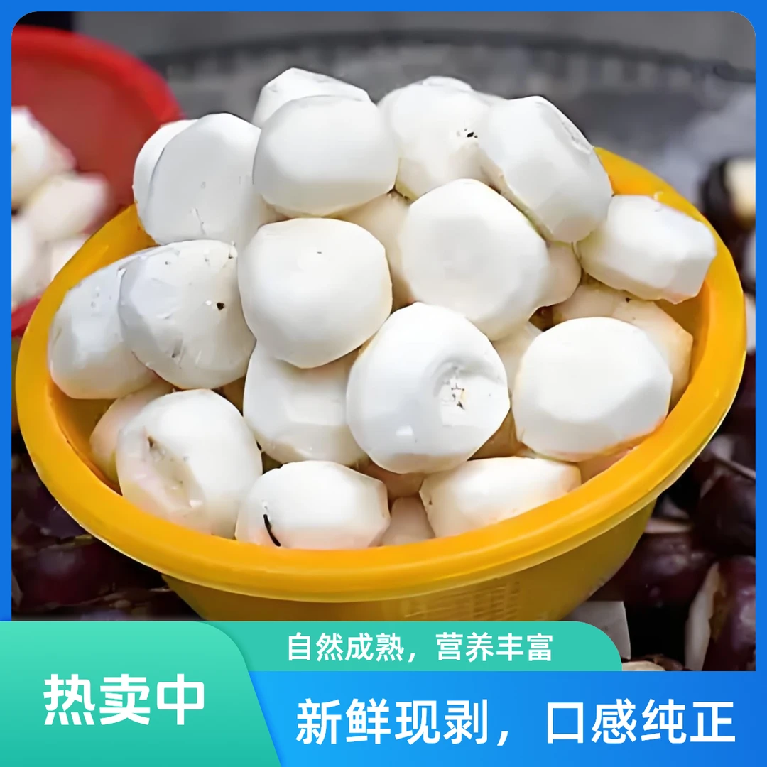 脆甜桂林马蹄削皮3斤净重 马蹄
