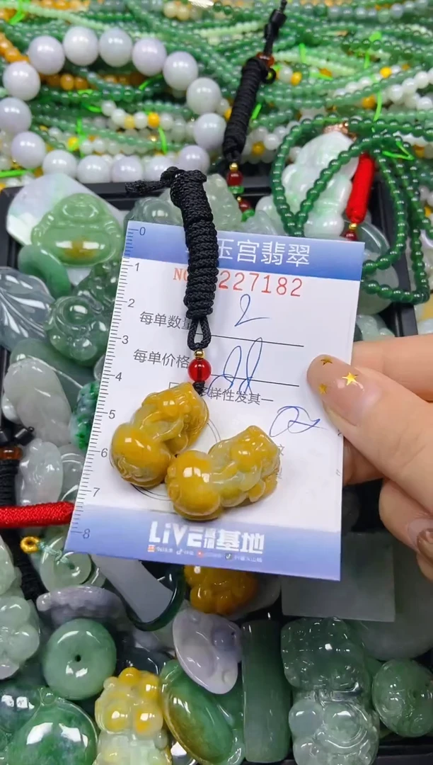 颈饰未镶嵌翡翠闪购C0227182