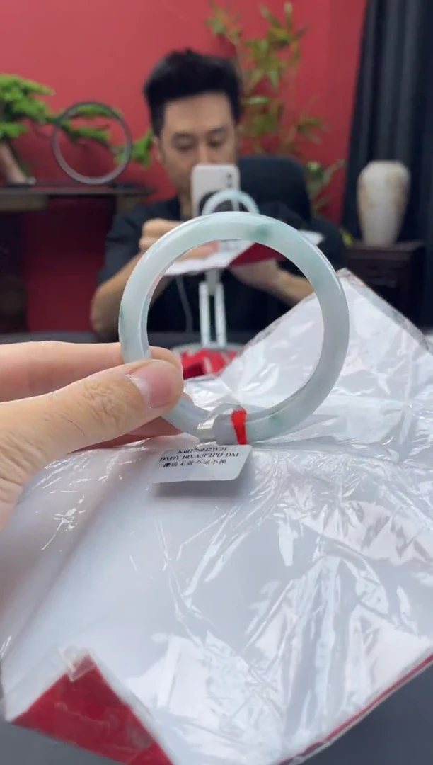 未镶嵌手镯翡翠5