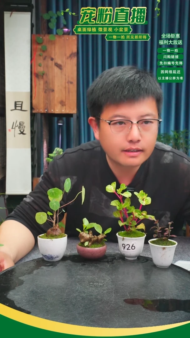 无花朵S****?苔藓微景观926号