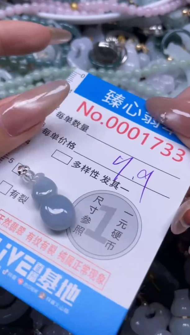 颈饰未镶嵌翡翠1733