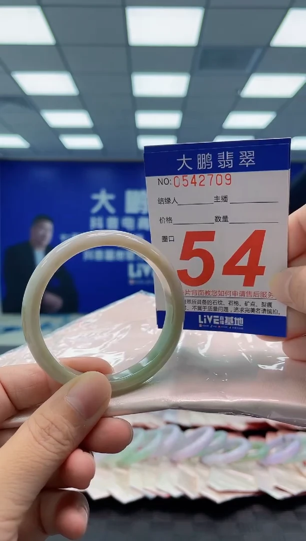 未镶嵌手镯翡翠AAAAAAAAAA