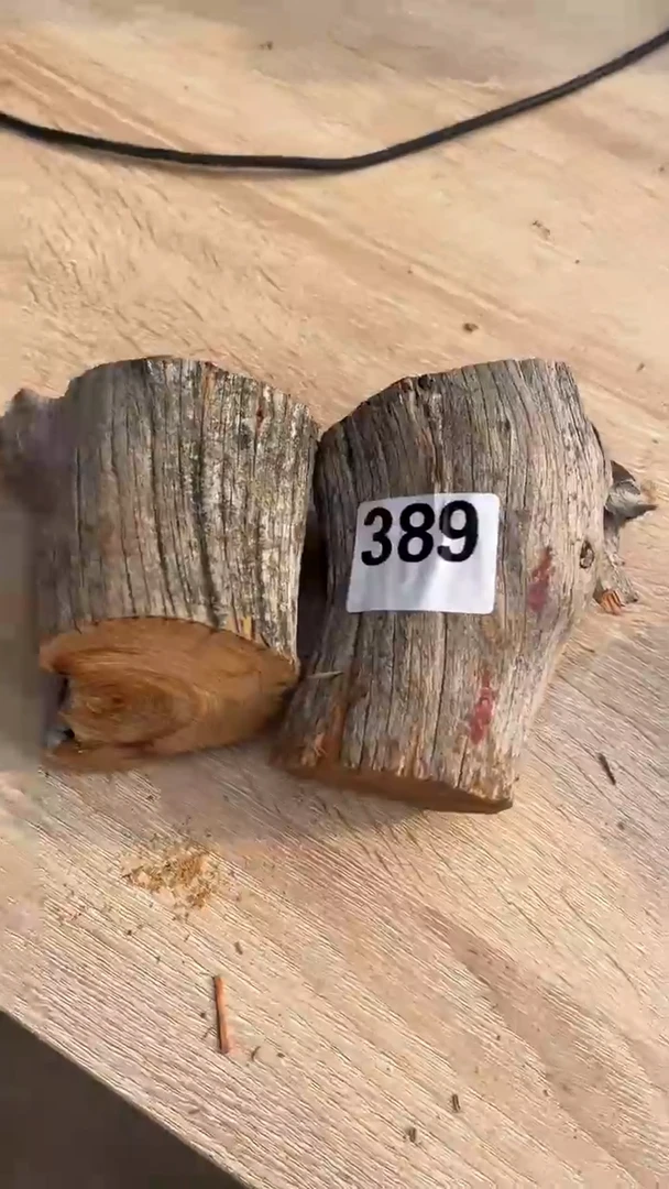 柏木（崖柏）南太行崖柏小墩子