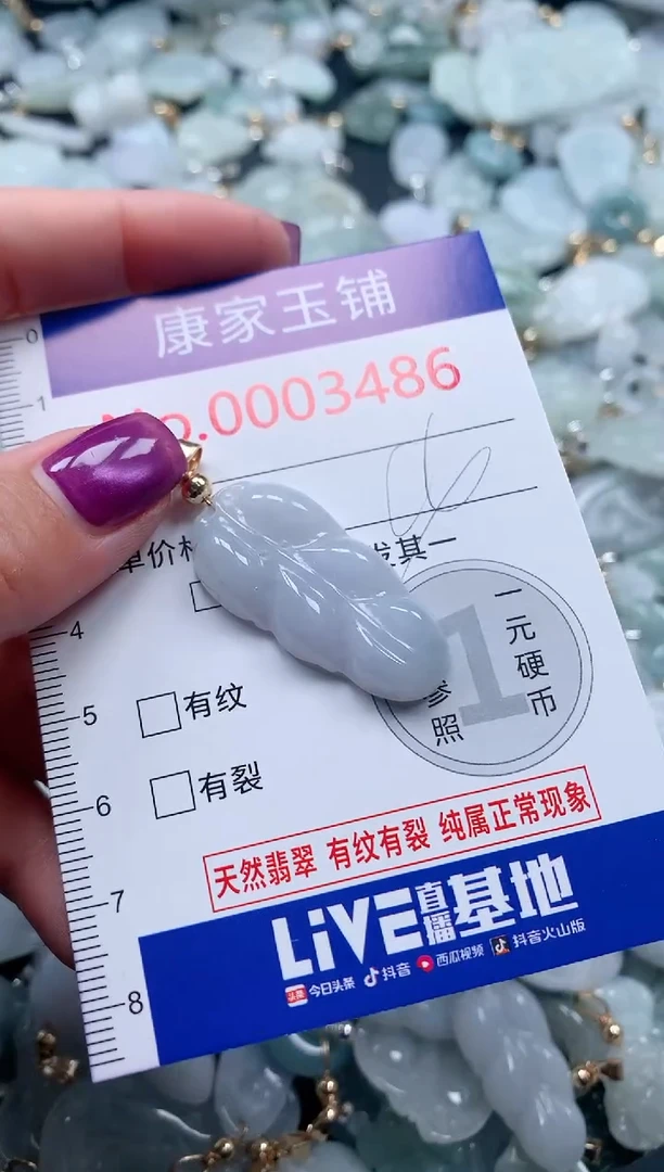 颈饰未镶嵌翡翠3486