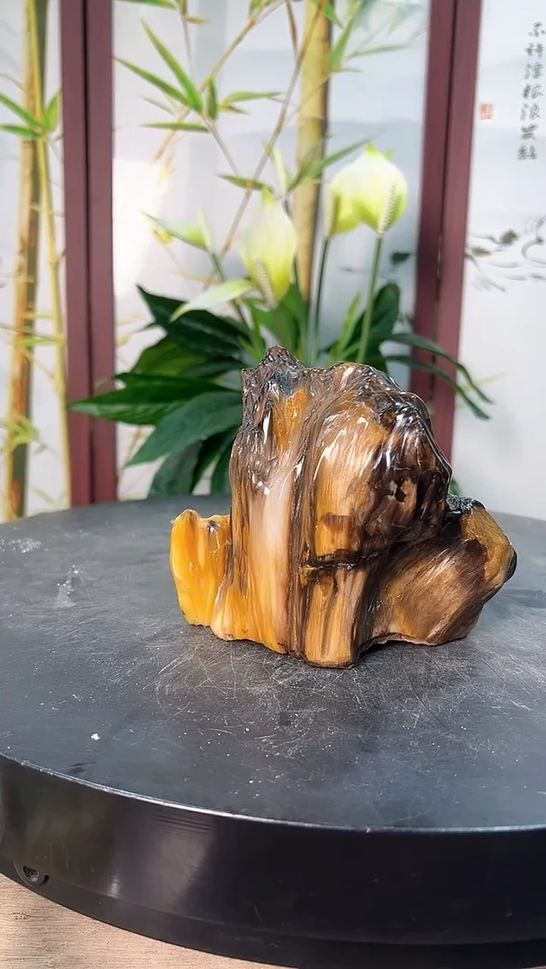 【闪购商品】硅化玉（树化玉）摆件未镶嵌精品树化玉
