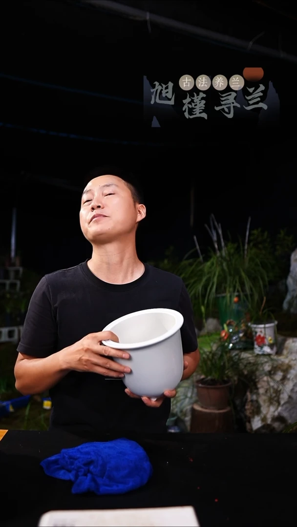 当前无花栽培后可以开花兰花盆-金钟盆天青色（一只）