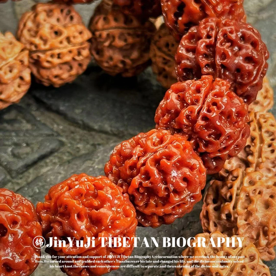 18.5+mm原生态自然龙纹铁籽大金刚（多样性发货）