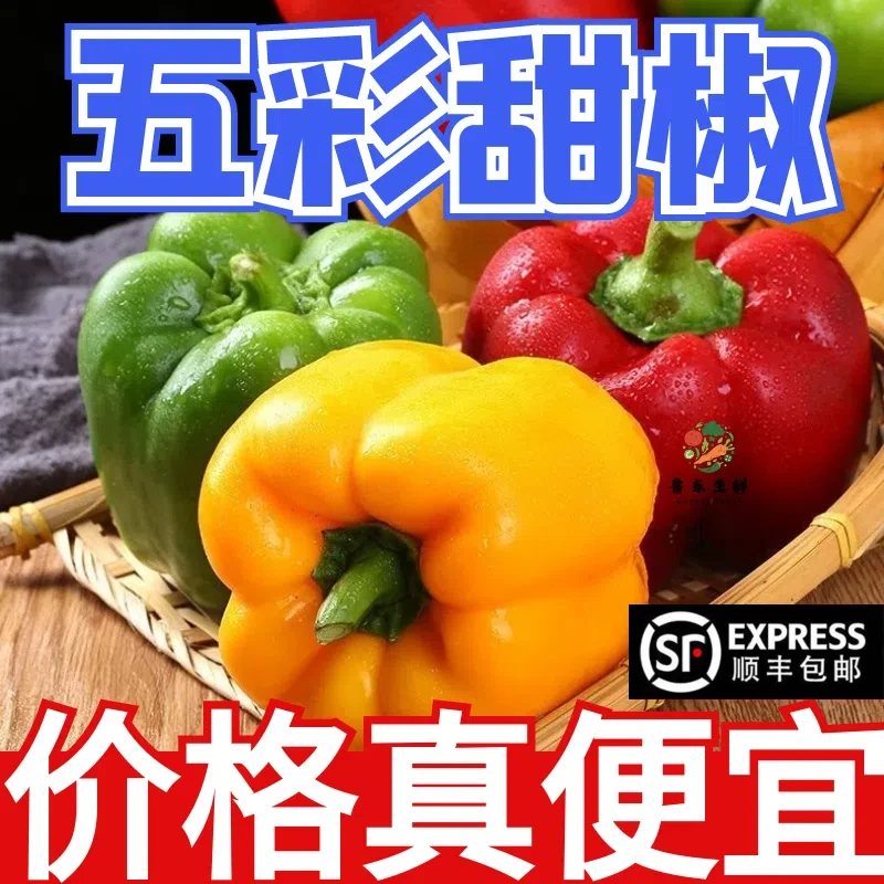 【寿光优选】寿光彩椒五彩椒太空椒圆椒灯笼甜椒不辣农家现摘自然