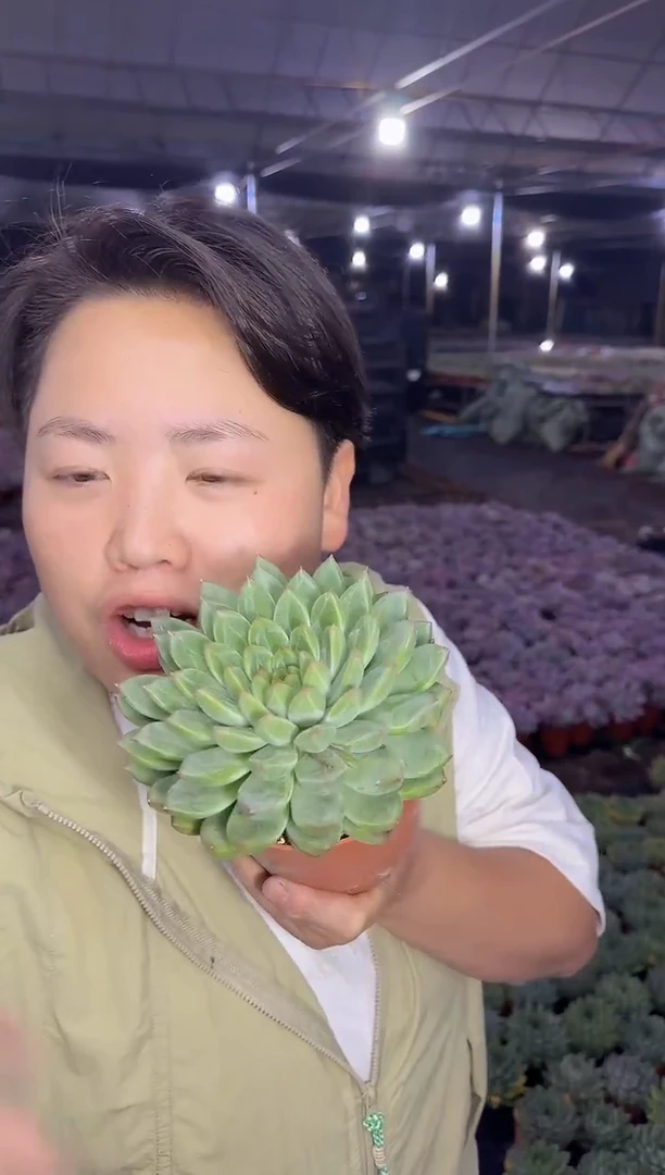 大单头星际迷航3.99