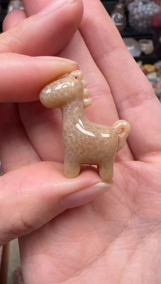 颈饰未镶嵌硅化珊瑚（珊瑚玉）394