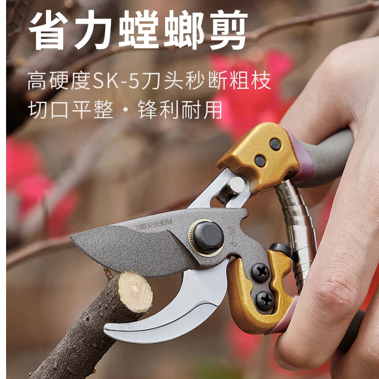 园艺修枝剪德国工艺果树修枝剪园林多功能粗枝剪树枝用的剪花艺
