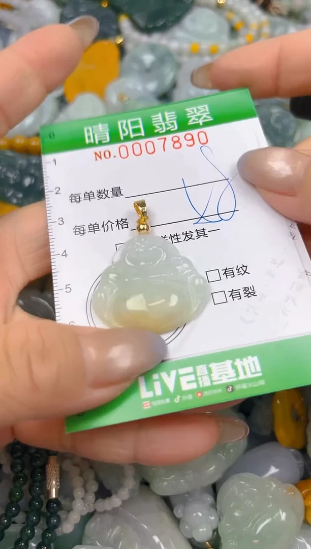 翡翠未镶嵌颈饰闪购0007890
