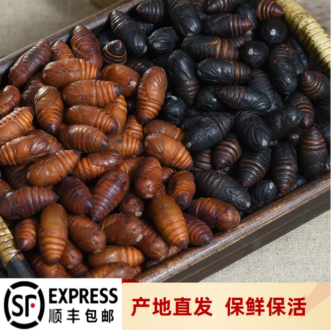 【二斤包邮】 东北鲜活柞树蛹 现割现发 鲜活到家 高营养 老少皆宜