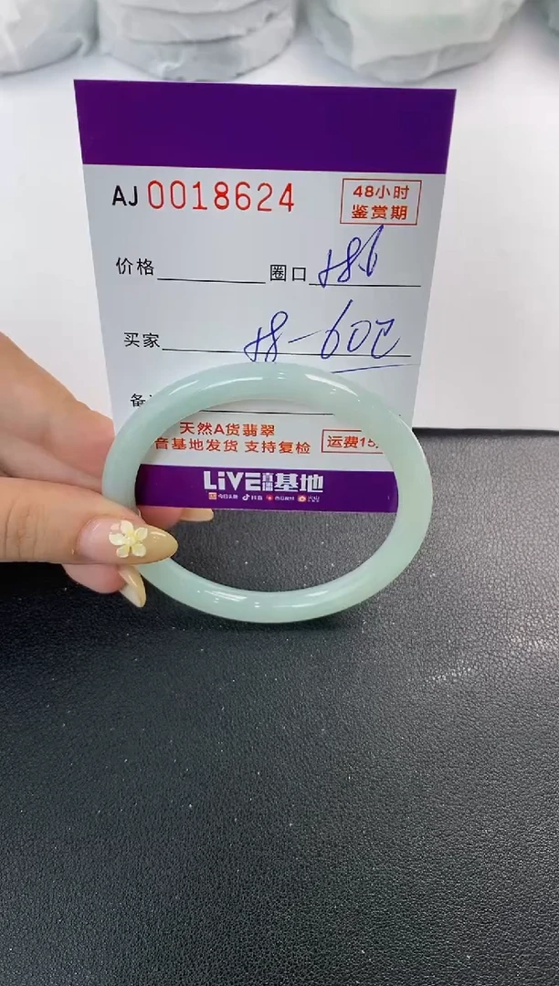 未镶嵌手镯翡翠天然A货翡翠