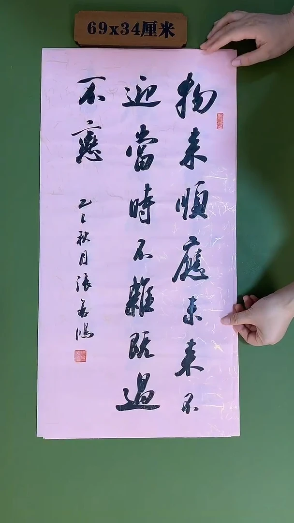 书法书法 张若鸿 尺寸69cm*34cm