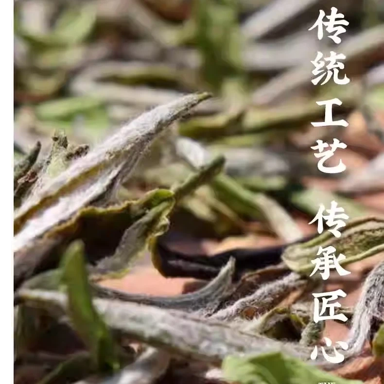 小雨品茶【白牡丹】2022年福鼎管阳野白牡丹250克/纸箱