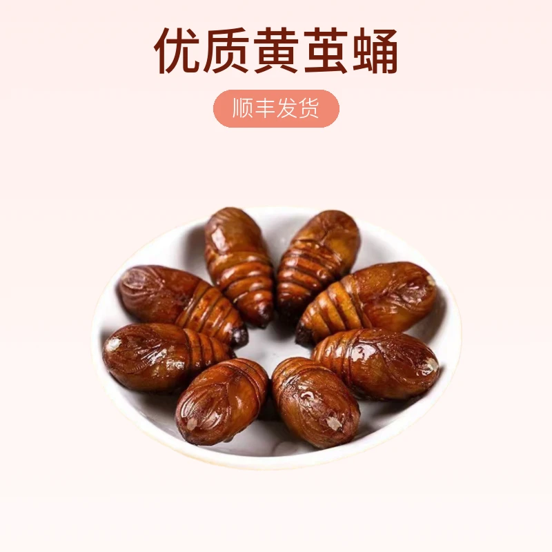 顺丰发货 东北特产鲜活蚕蛹优质黄茧蛹保鲜黑蝉蛹烧烤批发蚕蛹