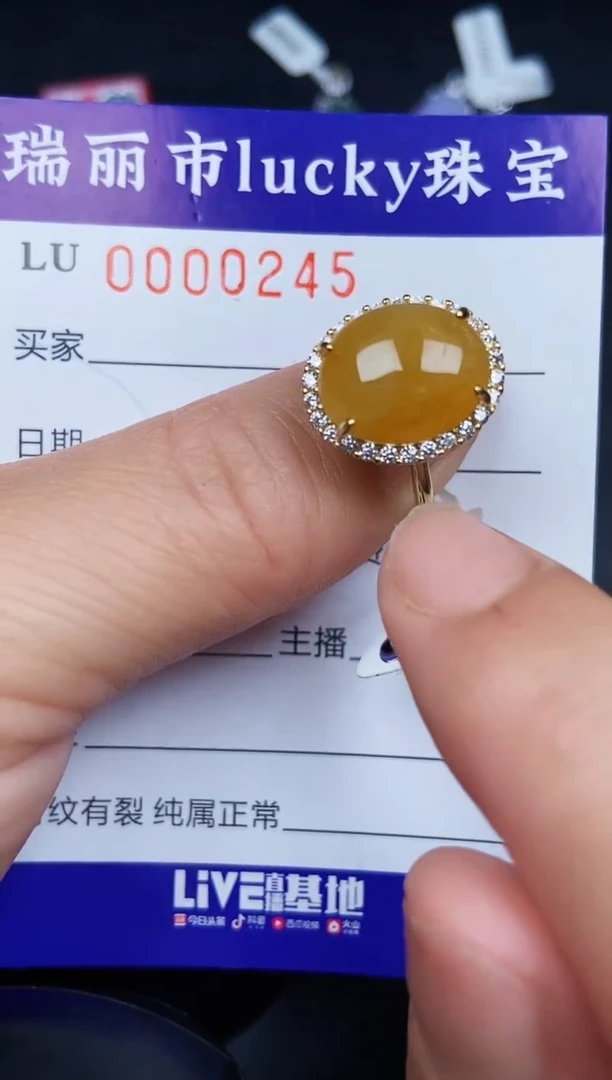 翡翠银S925镶嵌颈饰0245