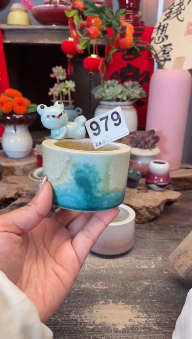 【闪购商品】摆件979微瑕福利知木小芳花盆