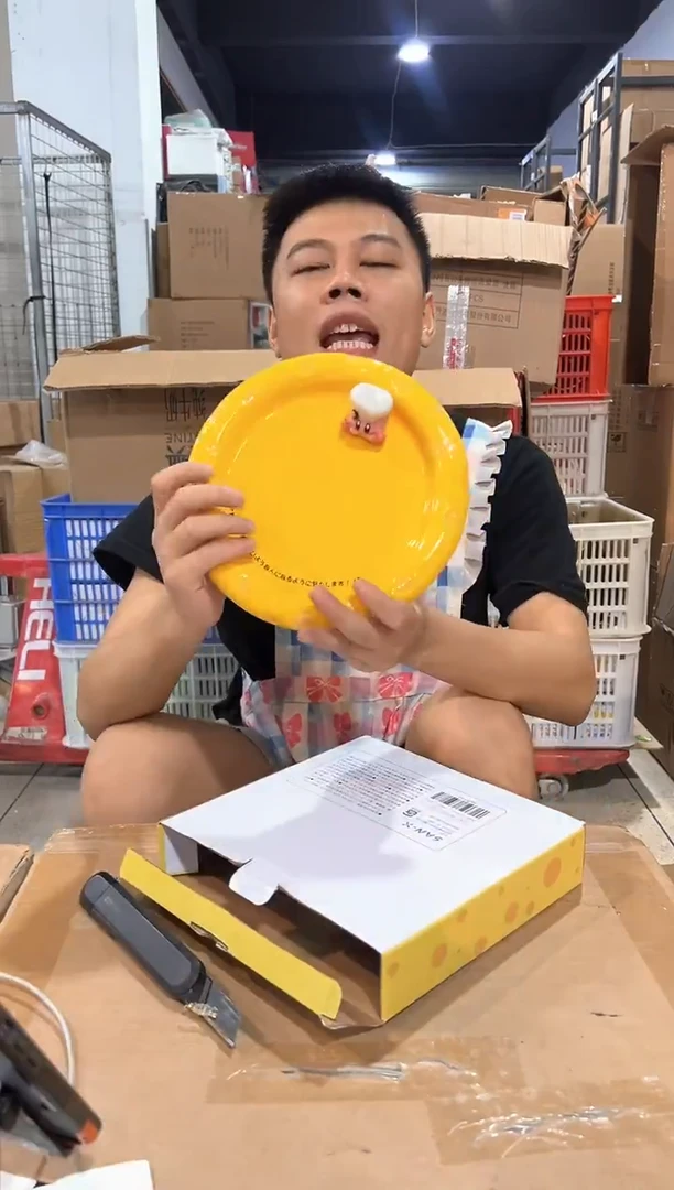 瓷片原盒星之卡比奶酪盘