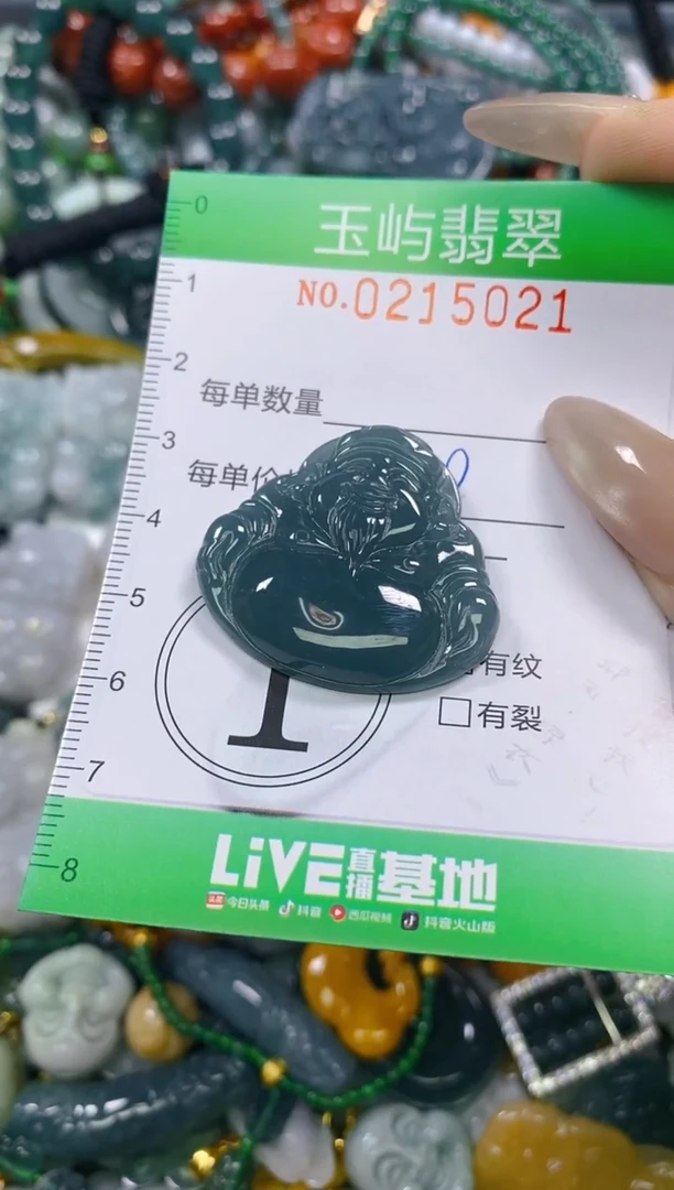 颈饰未镶嵌翡翠闪购0215021