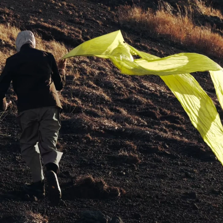 小马家 C家 帽子  集合
