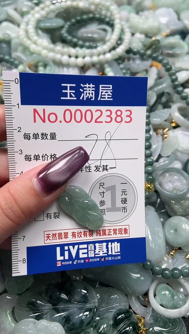 颈饰未镶嵌翡翠2383