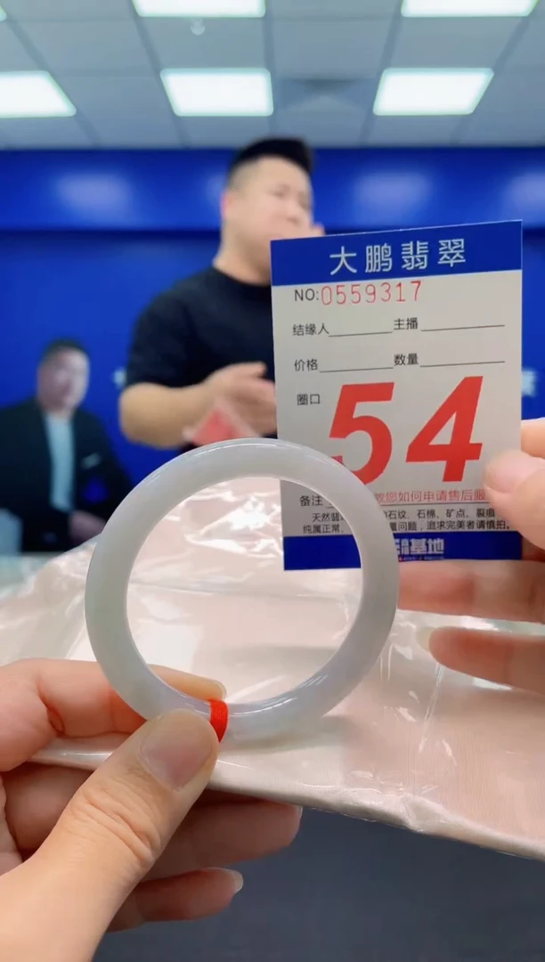 未镶嵌手镯翡翠AAAAAAAAA