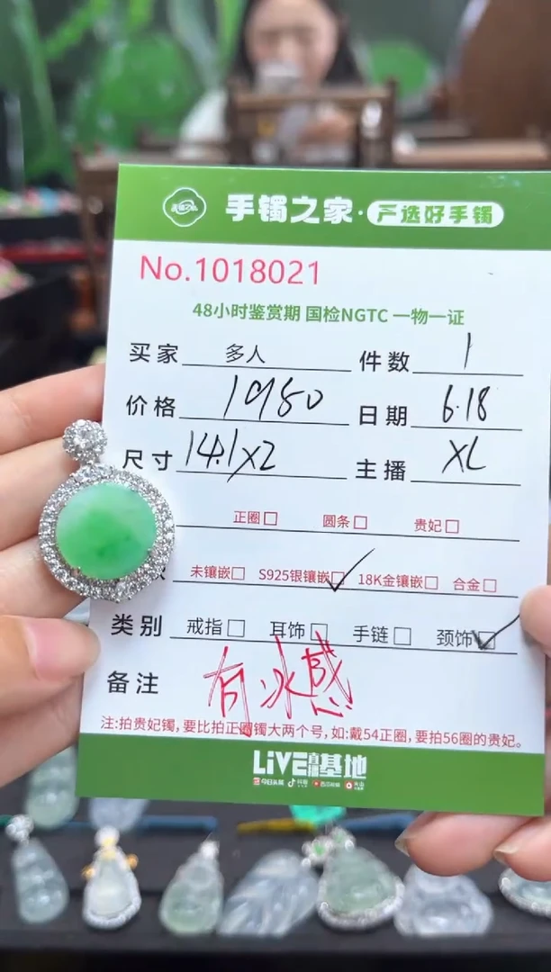 翡翠银S925镶嵌颈饰多人