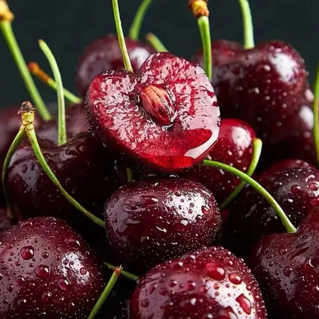 CC2车厘子海运拉宾斯J-5J 5斤装原版原箱智利 坏果赔 内附果径卡