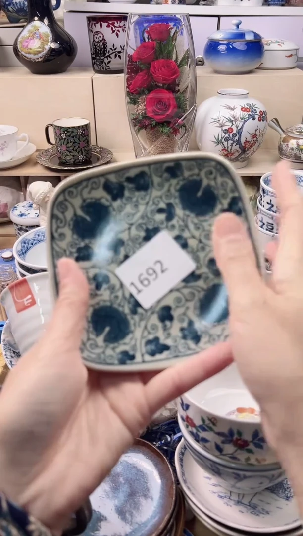 瓷片葵*你好你好你好你好你好