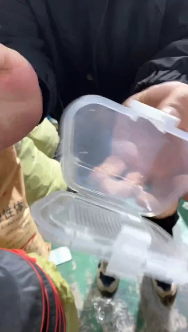 蚯蚓盒颜色随机