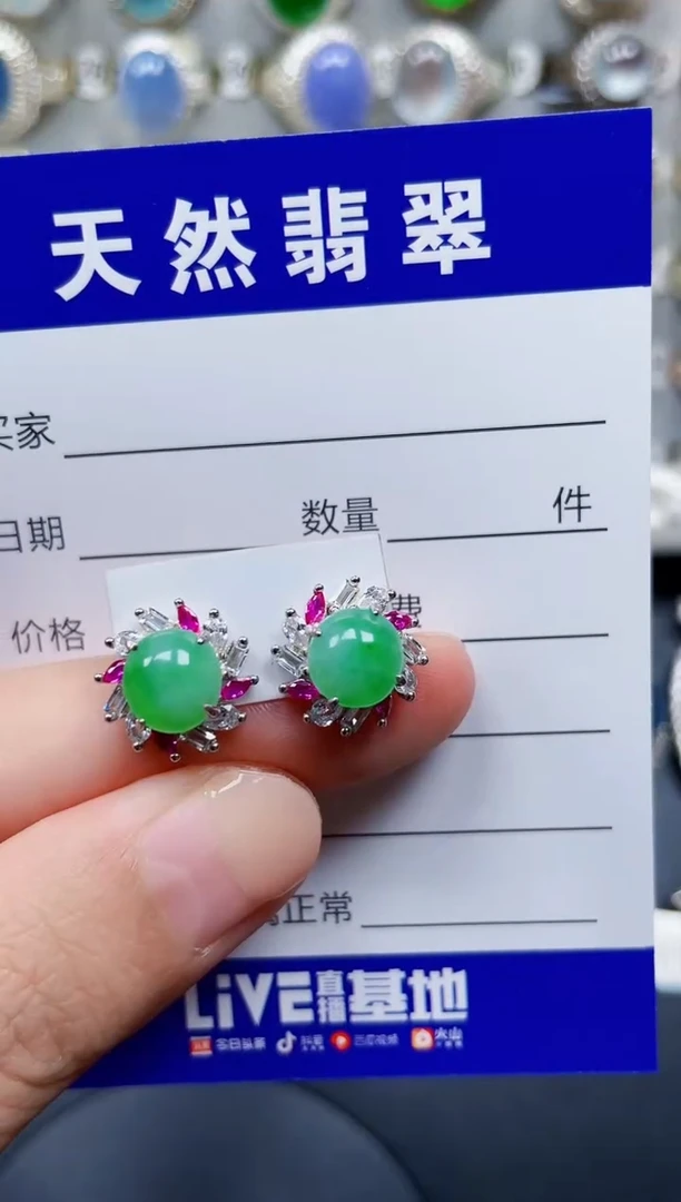 银S925镶嵌翡翠耳饰172
