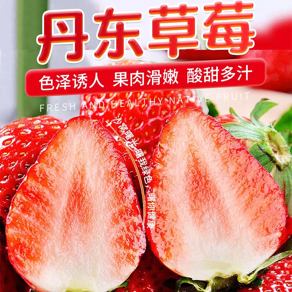 礼盒特大果丹东九九头茬果红颜牛奶味新鲜现摘产地直发顺丰包邮