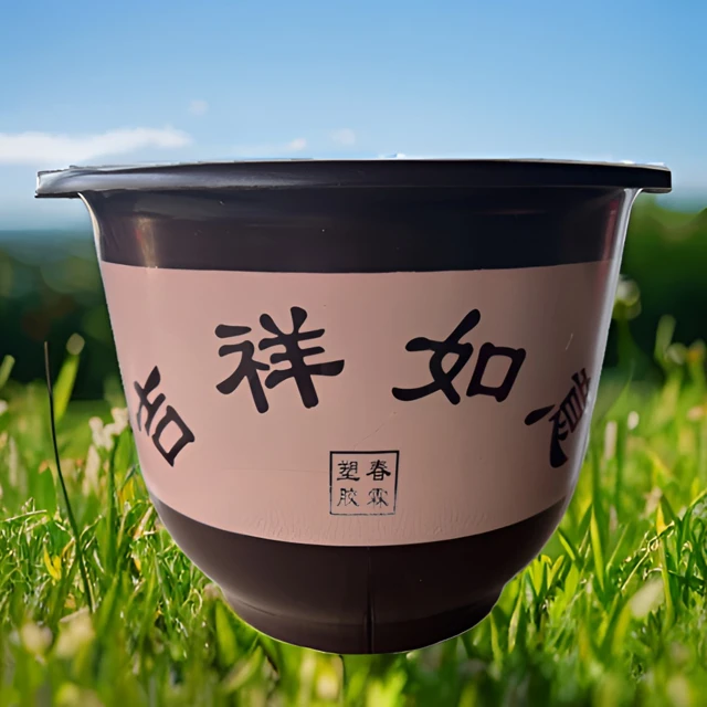 【拍1发10】吉祥如意大号树脂盆阳台室外加厚绿萝玫瑰月季多肉花盆