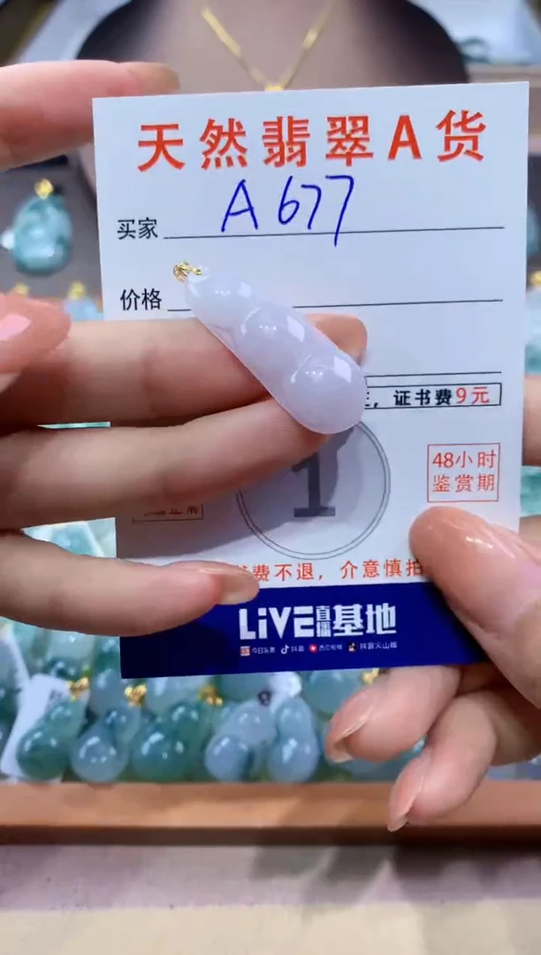 翡翠未镶嵌颈饰天然翡翠A货挂件