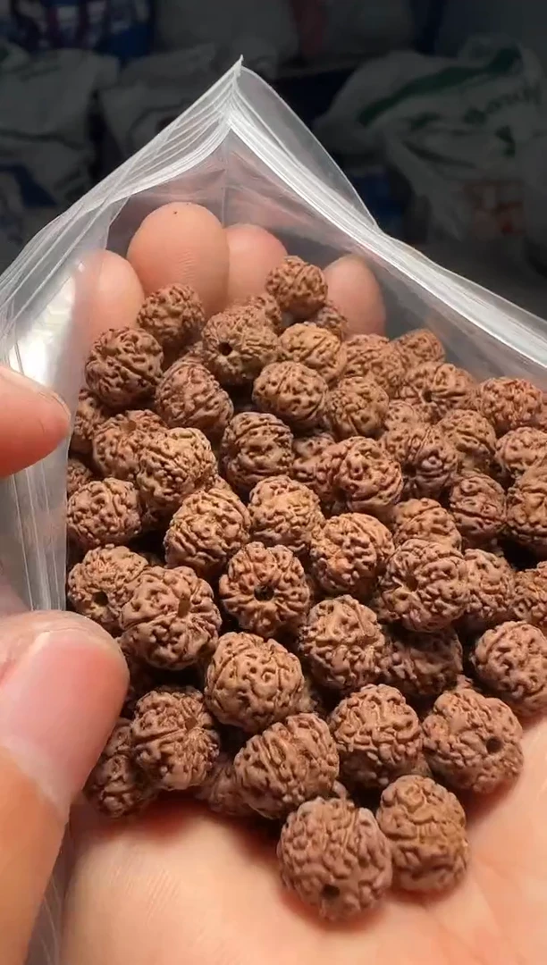 手串金刚菩提非全品平细散籽9-10mm一份一百颗