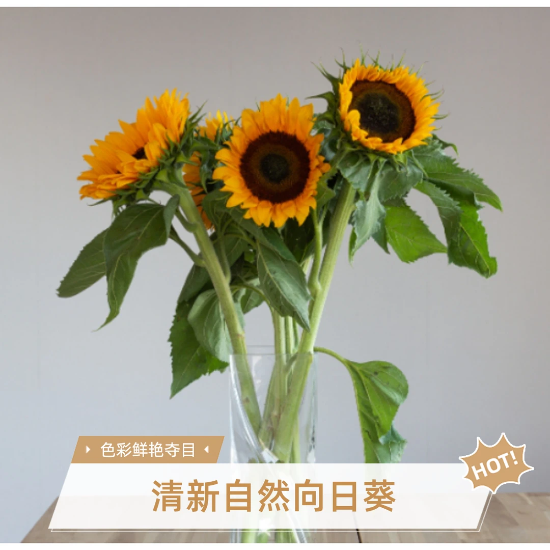 3枝向日葵家居花瓶插花同城配送