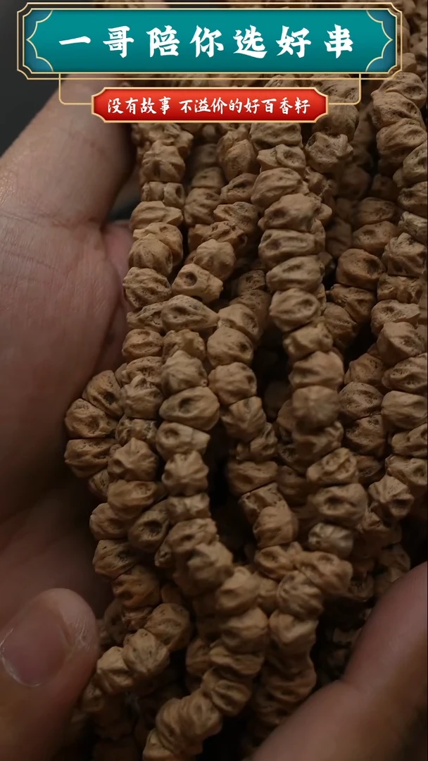 柏香籽/百香籽吊坠3516