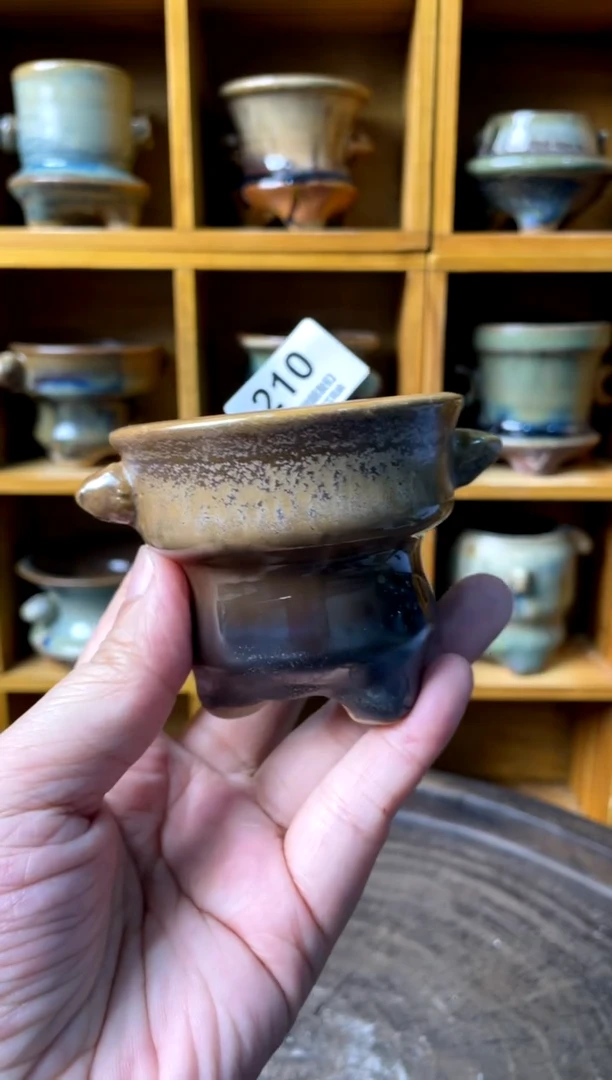 210【多肉花盆多肉盆】