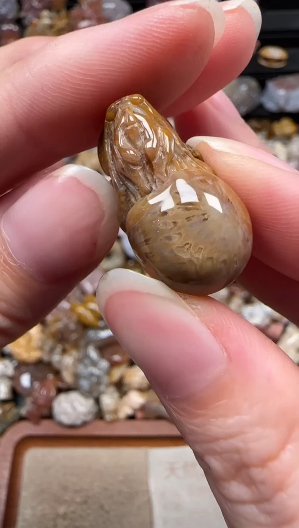 颈饰未镶嵌硅化珊瑚（珊瑚玉）266